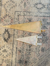 Load image into Gallery viewer, Lot of 2 Vintage Pennants - Puerto Rico and Cog Railway