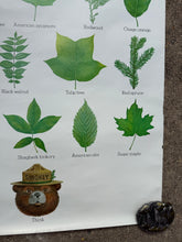 Load image into Gallery viewer, Vintage 80s Smokey Bear Leaves Poster (19x28.5)