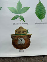 Load image into Gallery viewer, Vintage 80s Smokey Bear Leaves Poster (19x28.5)