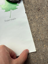 Load image into Gallery viewer, Vintage 80s Smokey Bear Leaves Poster (19x28.5)