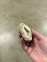 Load image into Gallery viewer, Vintage Wooden Wolf Belt Buckle
