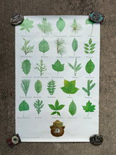 Load image into Gallery viewer, Vintage 80s Smokey Bear Leaves Poster (19x28.5)
