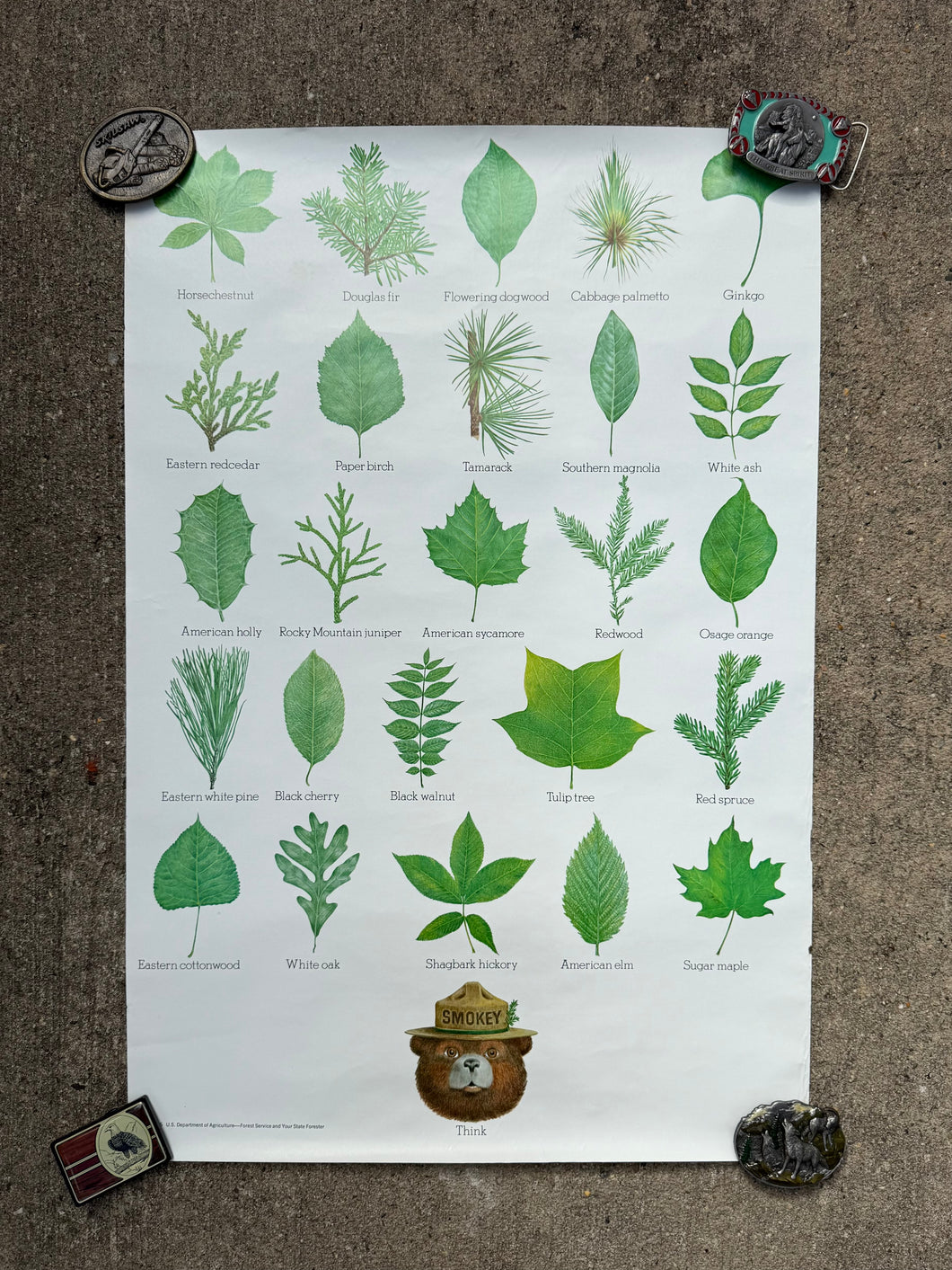 Vintage 80s Smokey Bear Leaves Poster (19x28.5)