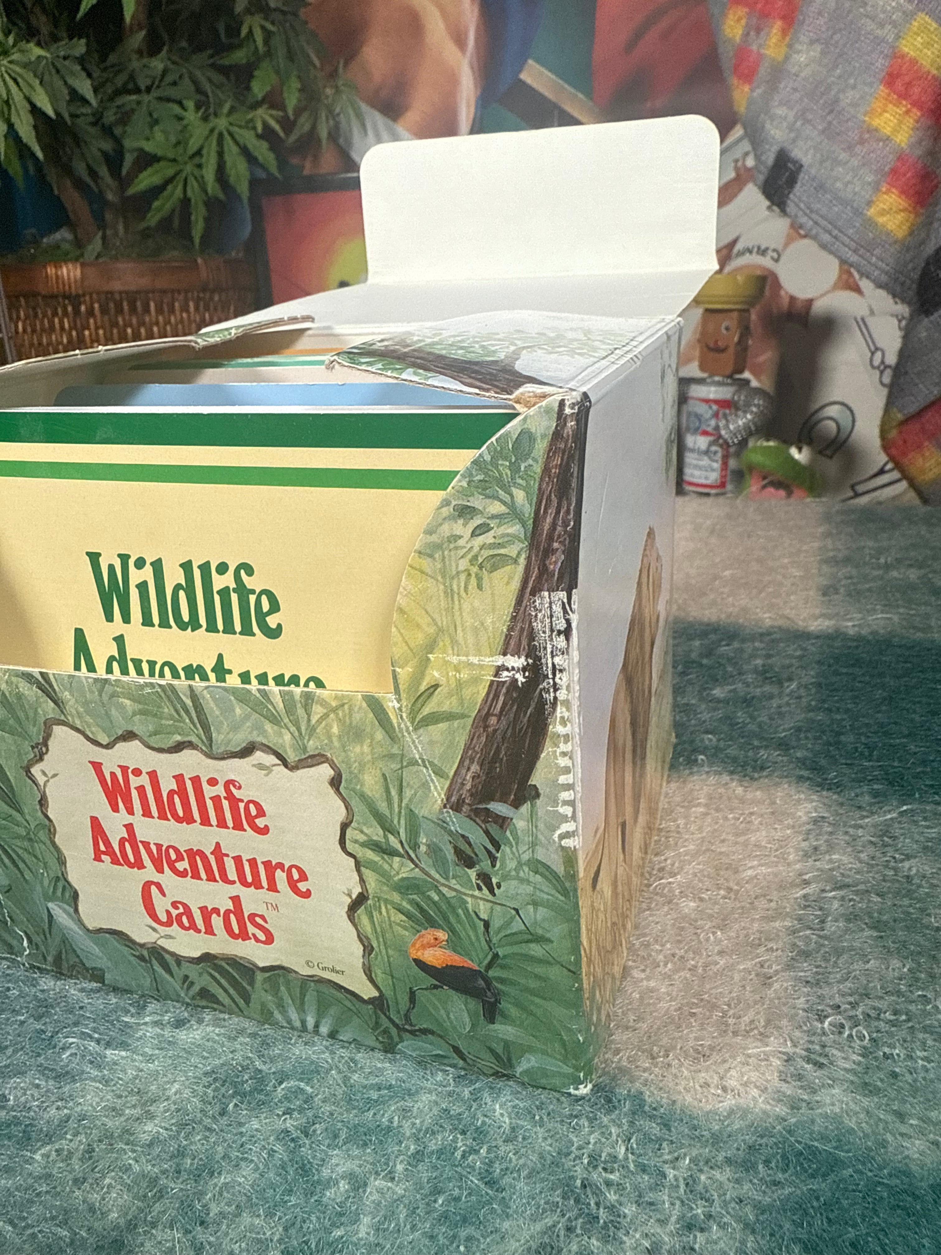 Vintage Wildlife Adventure Cards Set