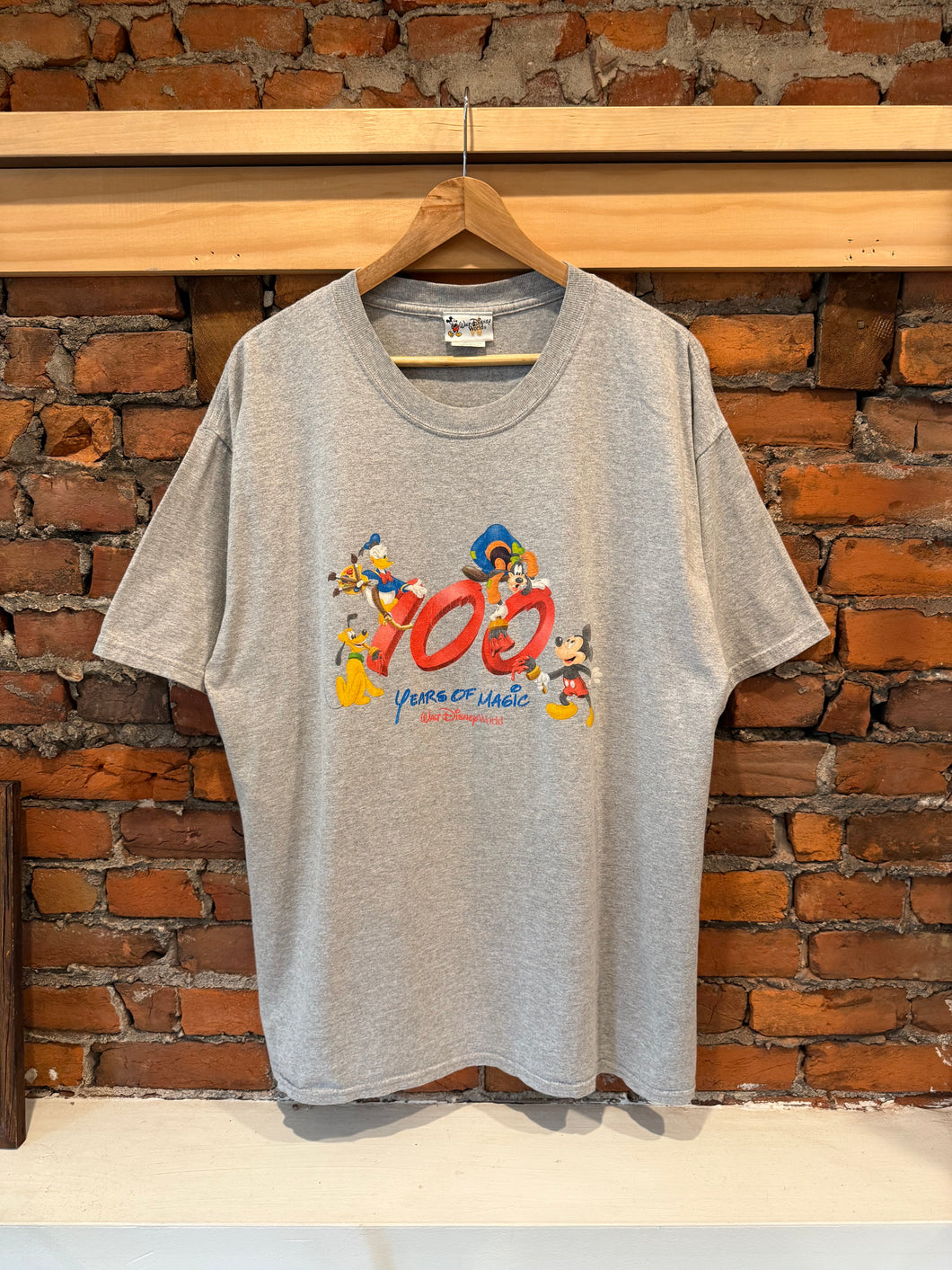 Vintage Disney 100 Years Shirt (XL)