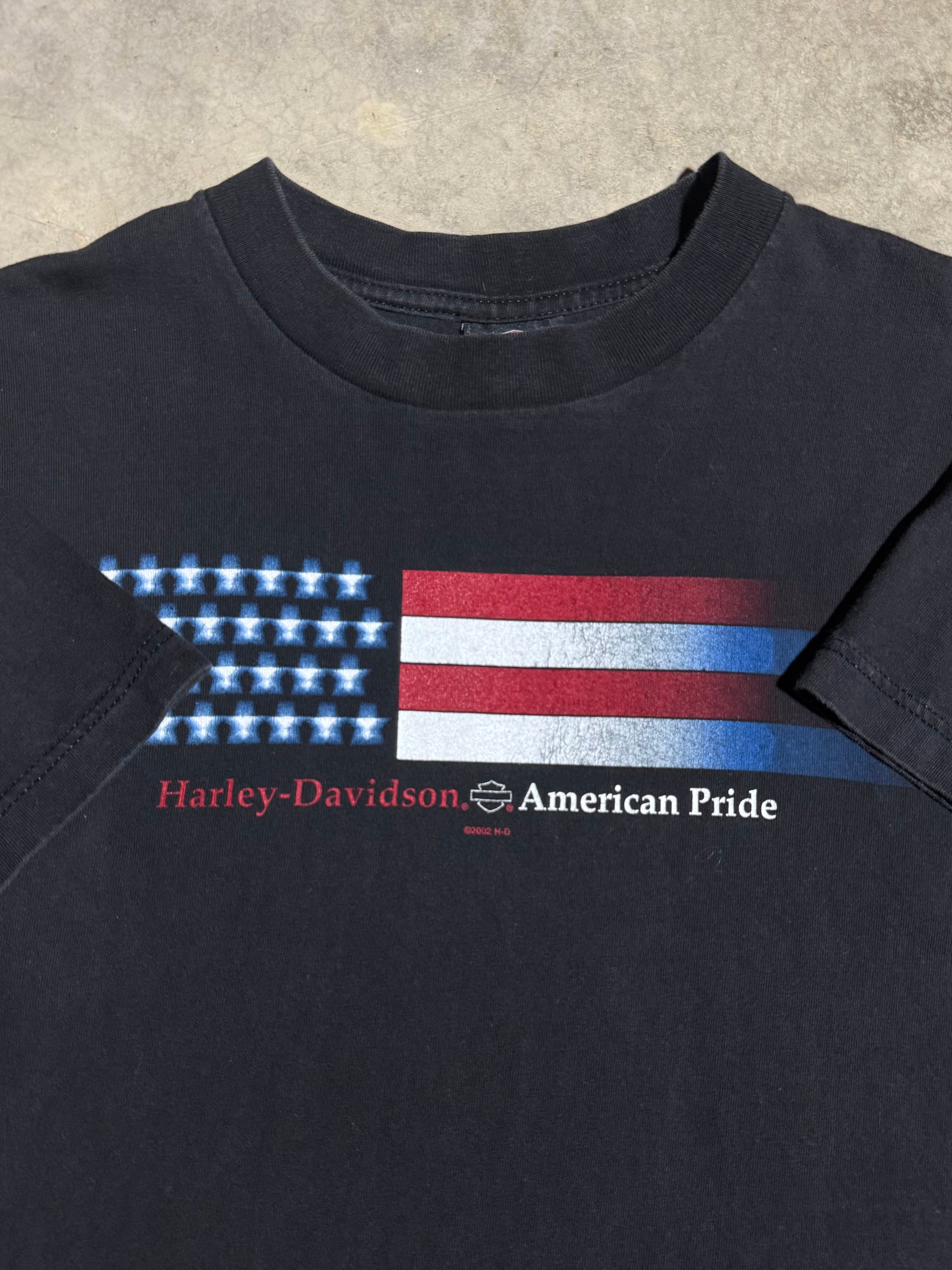 Vintage 2002 Harley Davidson American Pride T-Shirt (M)