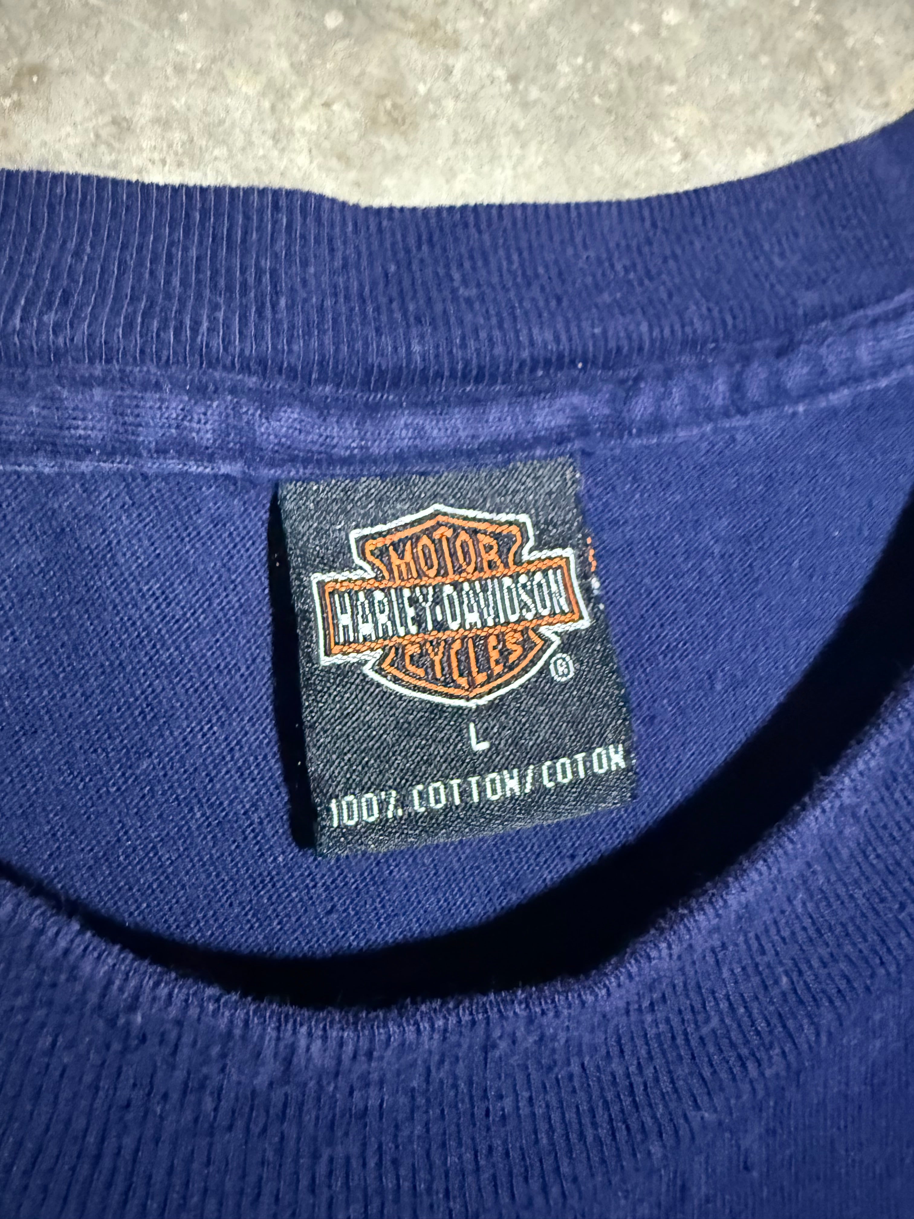 Vintage Harley Davidson American Pride T-Shirt (L)