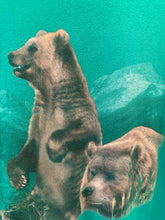 Load image into Gallery viewer, Vintage Early 90s Bears Shirt (2XL)
