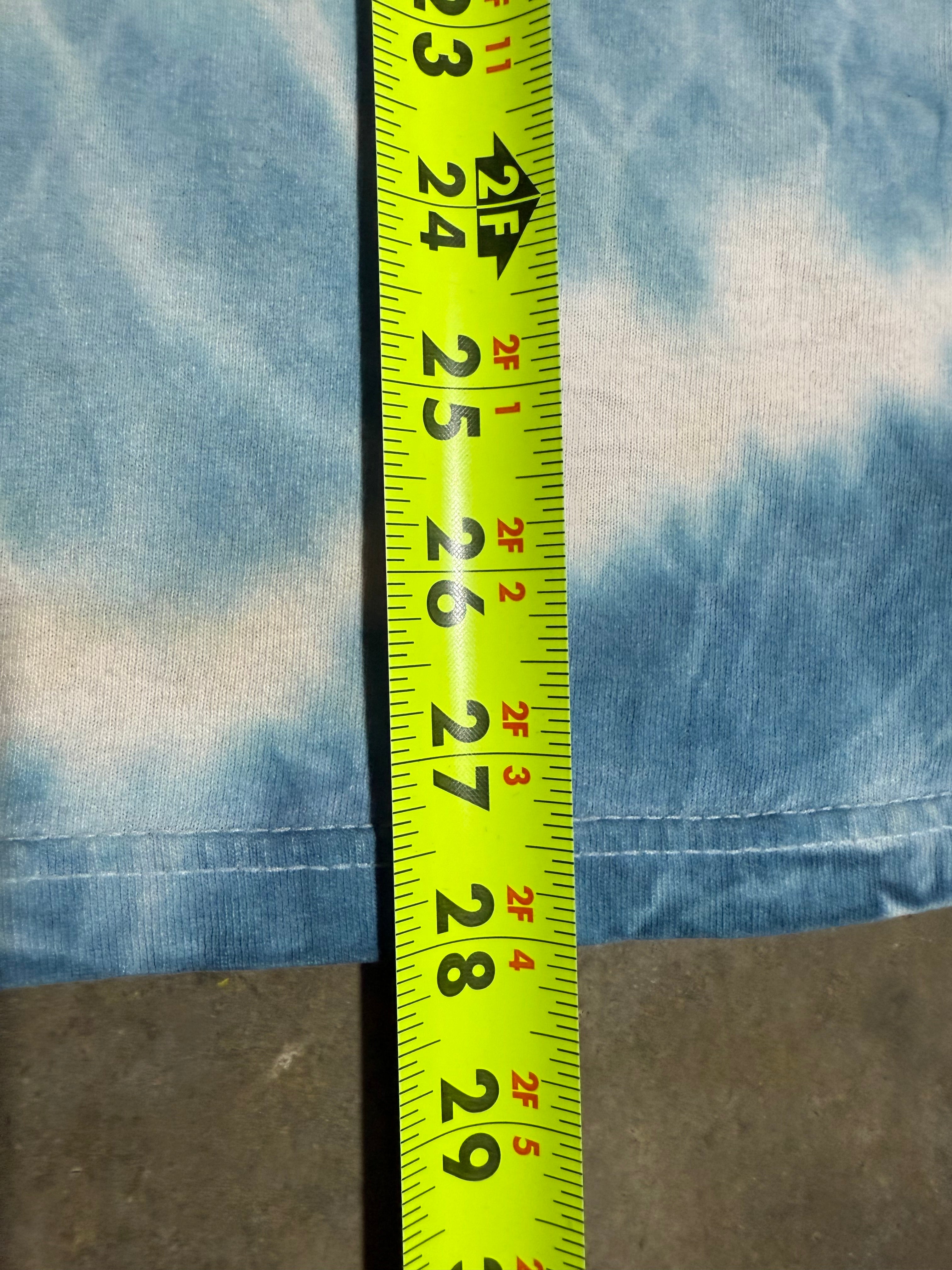 Vintage 2001 Double The Trouble Looney Tunes Tie Dye Shirt (M)