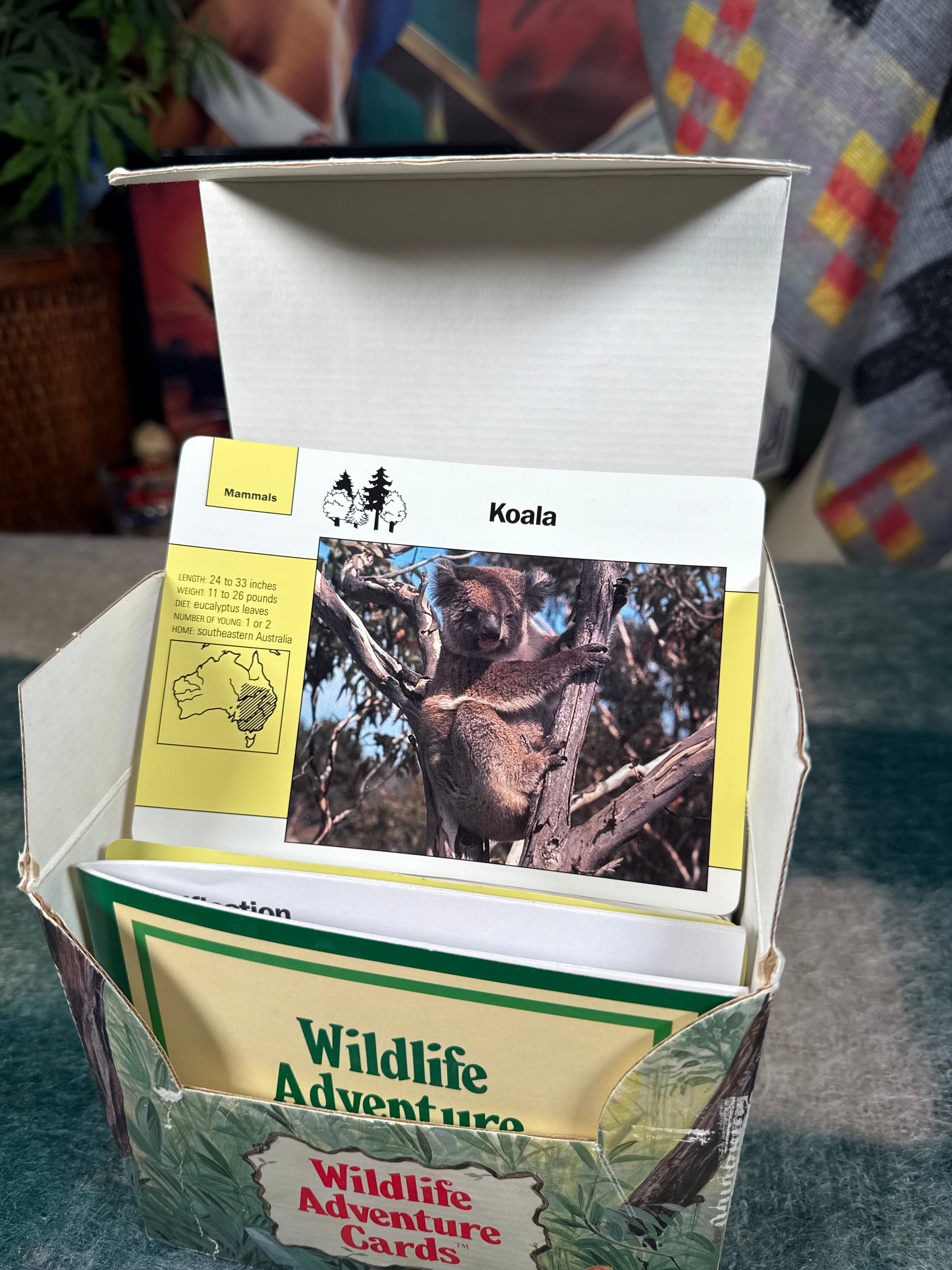 Vintage Wildlife Adventure Cards Set