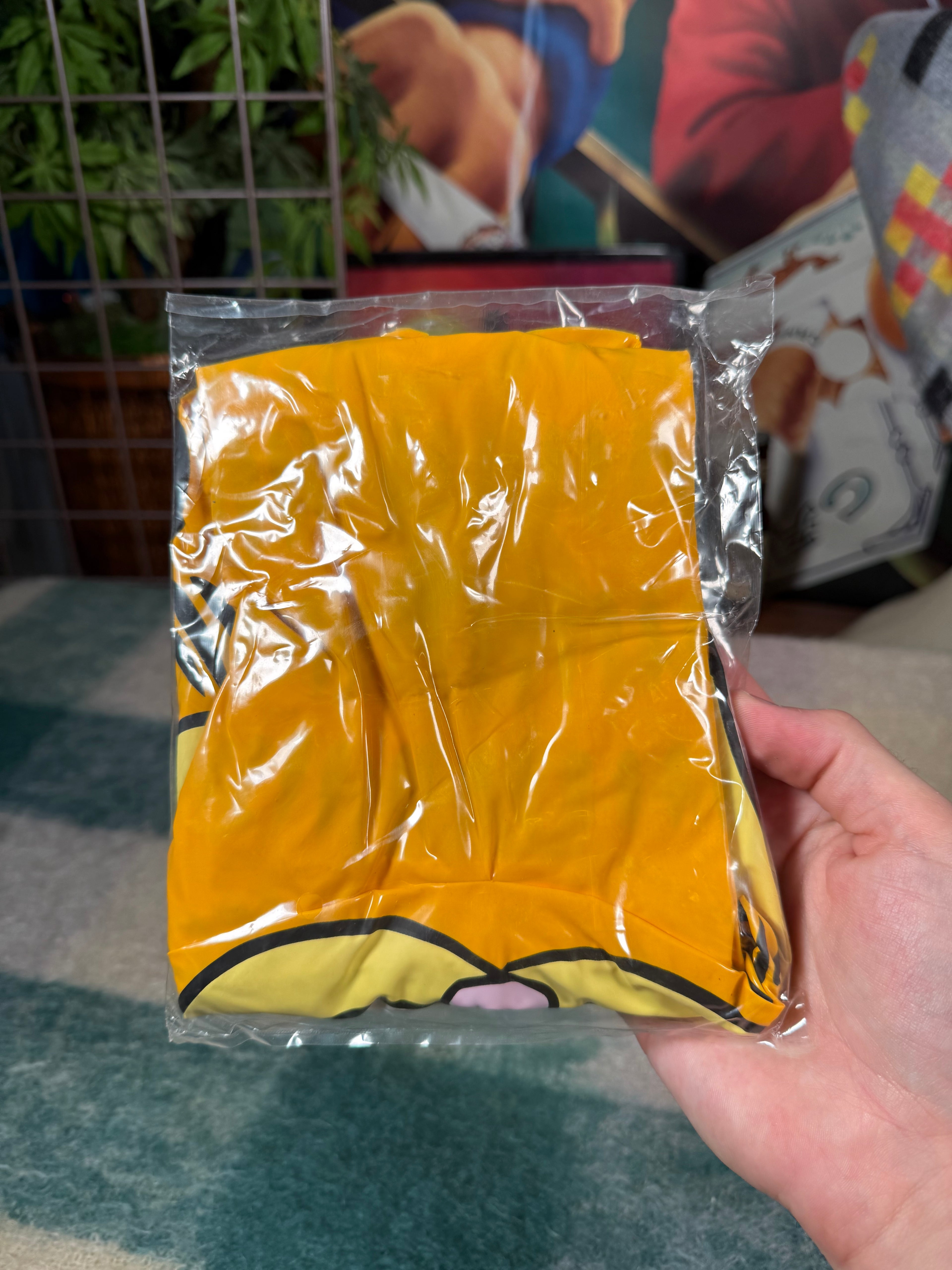 Vintage Unopened 2002 Garfield Inflatable