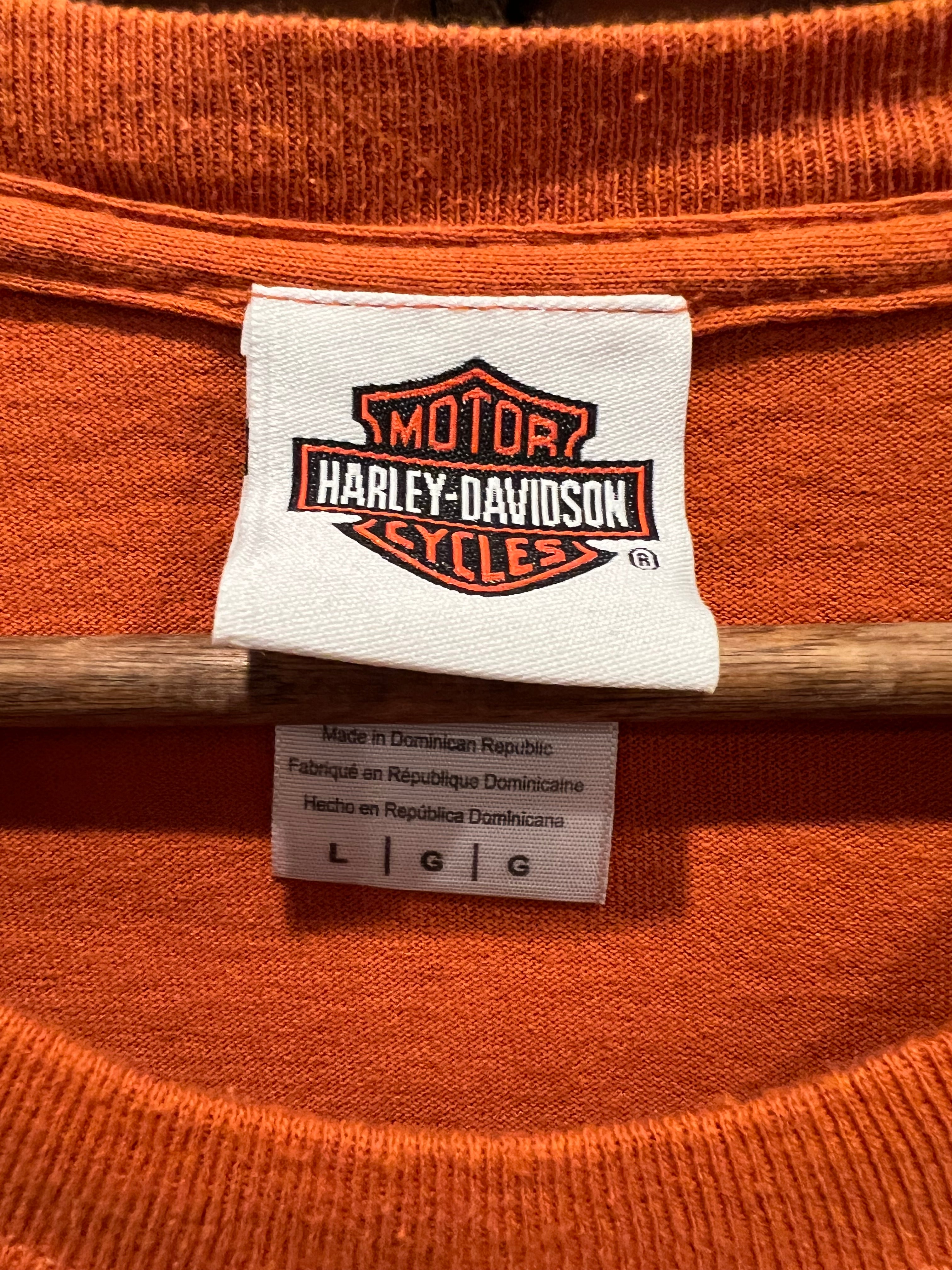 Modern Harley Davidson Mt Rushmore Tee (L)