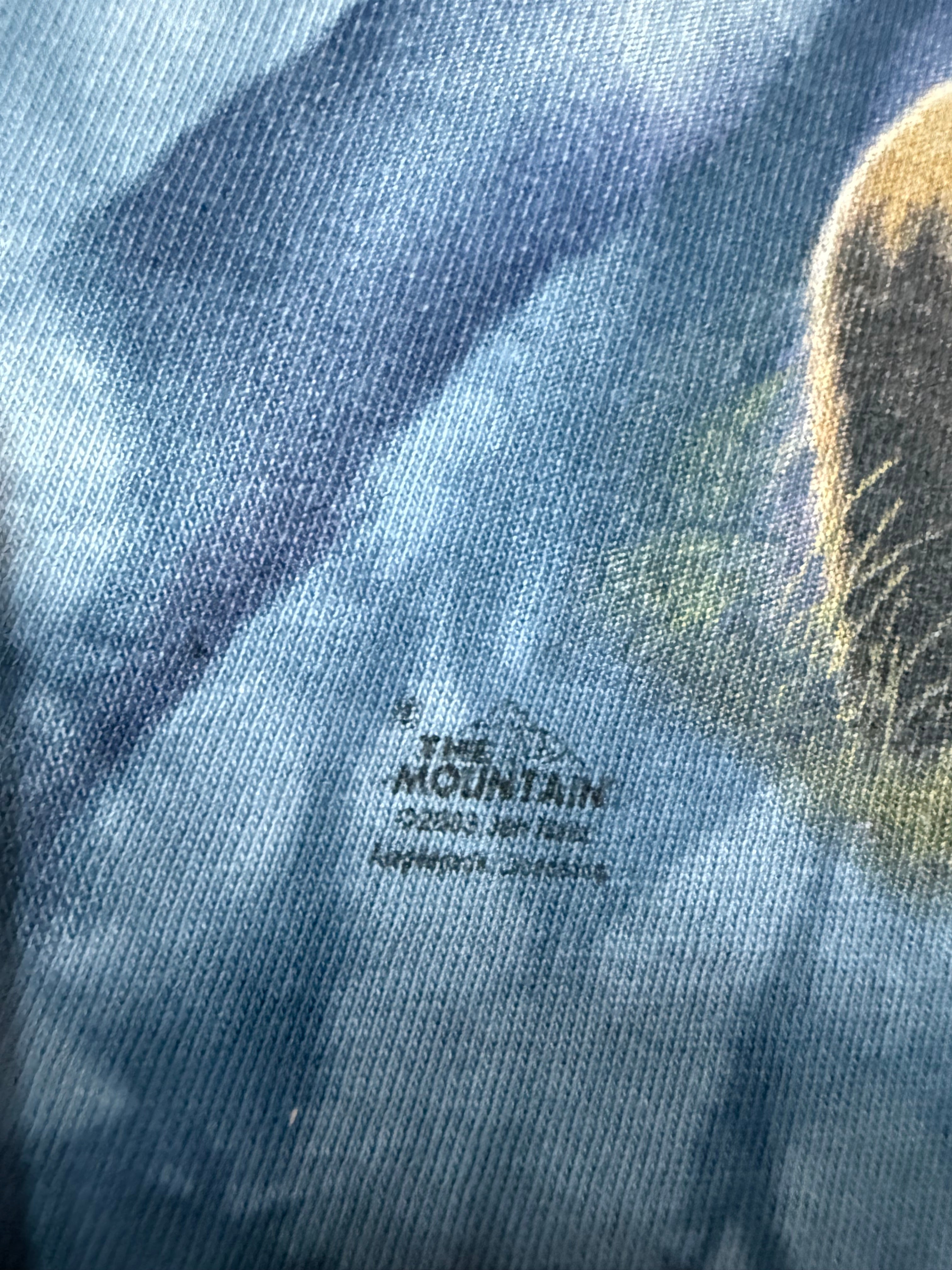 Vintage 2003 The Mountain Bear Tie Dye Shirt (M)