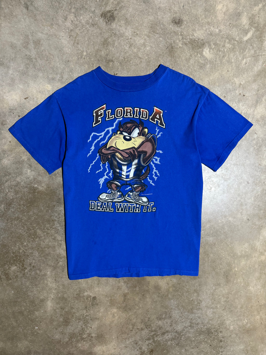 Vintage 1996 Taz Florida Lightning Tee (XL)