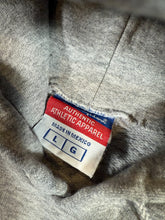 Load image into Gallery viewer, 2000s Villanova Champion Hoodie (L)
