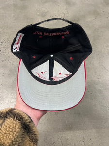 Vintage Dale Earnhardt Sharktooth SnapBack Hat