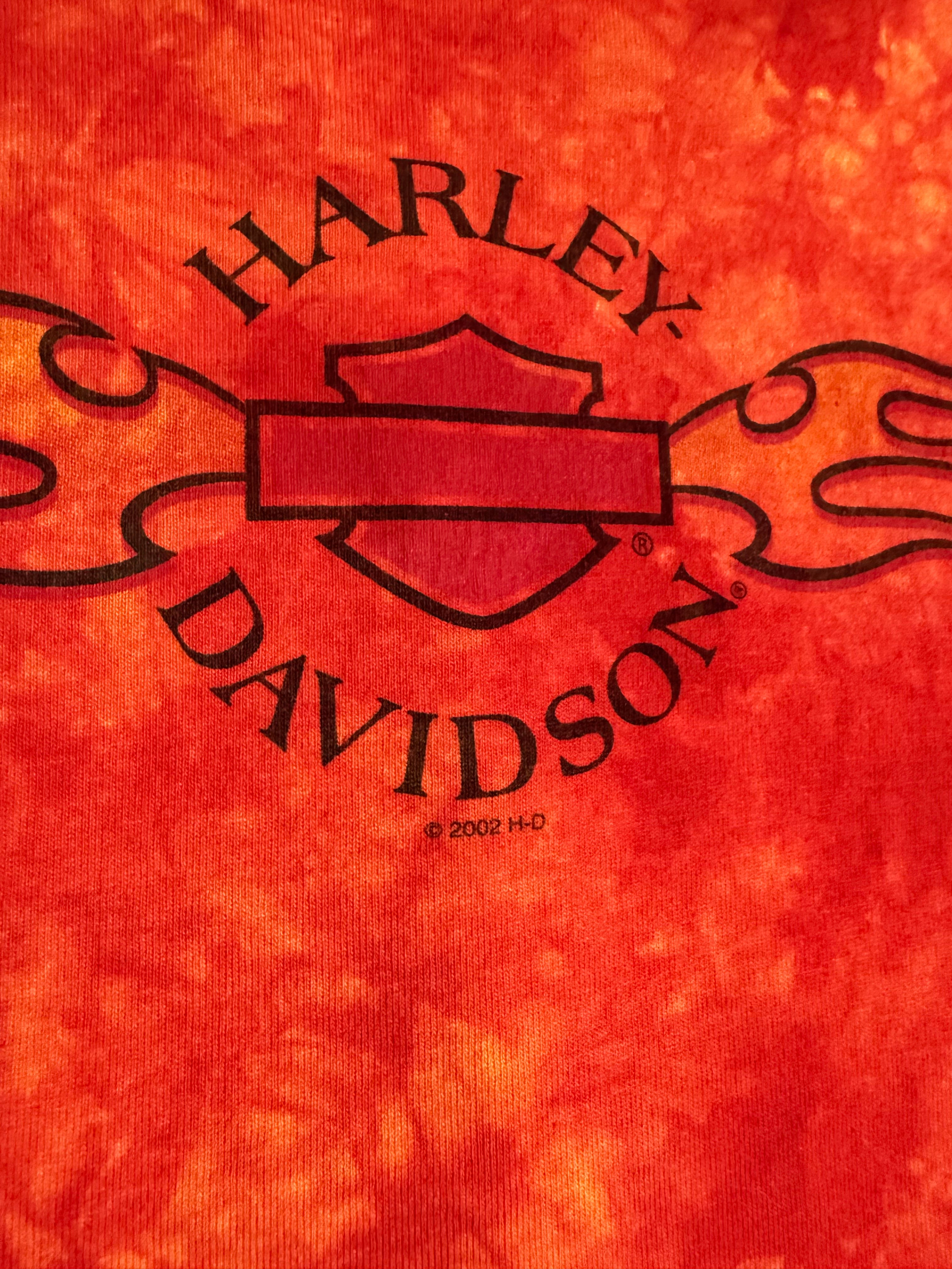 Vintage 2002 Harley Davidson Flames Tank Top (XL)