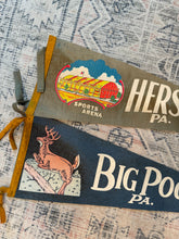 Load image into Gallery viewer, Lot of 2 Vintage Pennants - Hershey Park and Big Pocono

