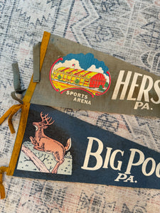Lot of 2 Vintage Pennants - Hershey Park and Big Pocono