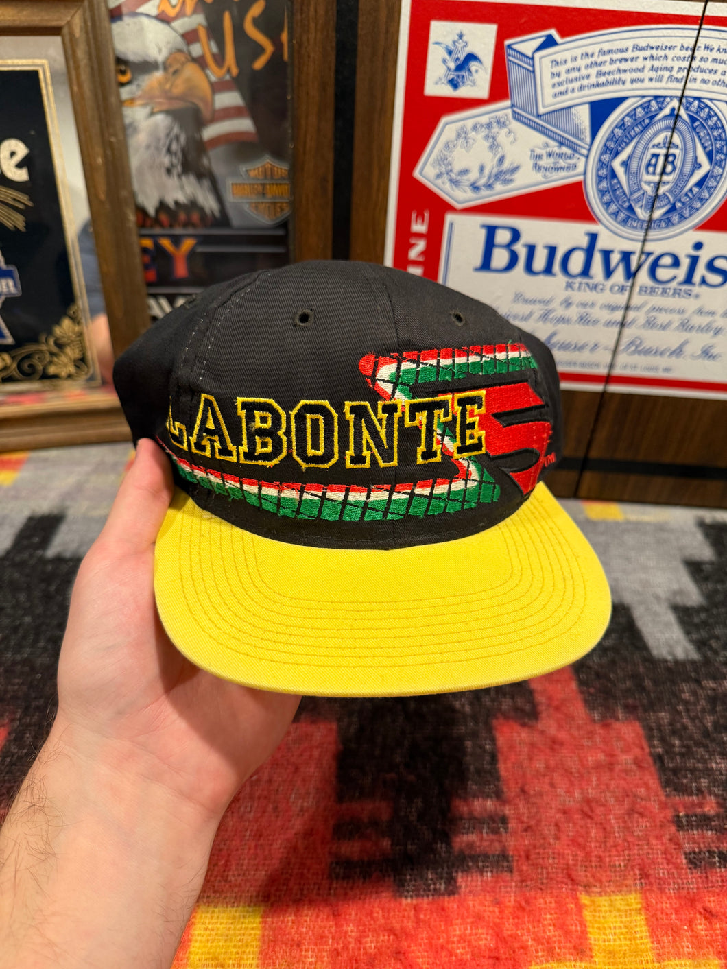 Vintage 1998 Terry Labonte Nascar SnapBack Hat