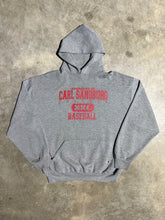 Load image into Gallery viewer, Vintage Carl Sandberg College Baseball Russell Athletic Hoodie (XL)
