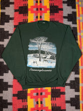 Load image into Gallery viewer, Vintage Pennsylvania Wintertime Green Crewneck (XL)
