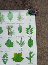 Load image into Gallery viewer, Vintage 80s Smokey Bear Leaves Poster (19x28.5)
