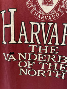 Vintage 90s Harvard Champion Tee (2XL)
