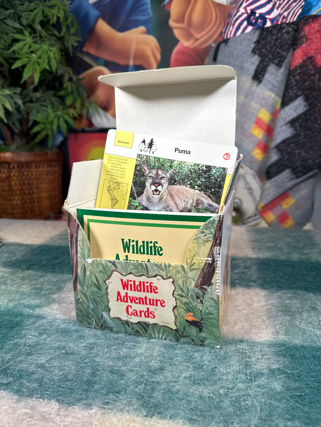 Vintage Wildlife Adventure Cards Set