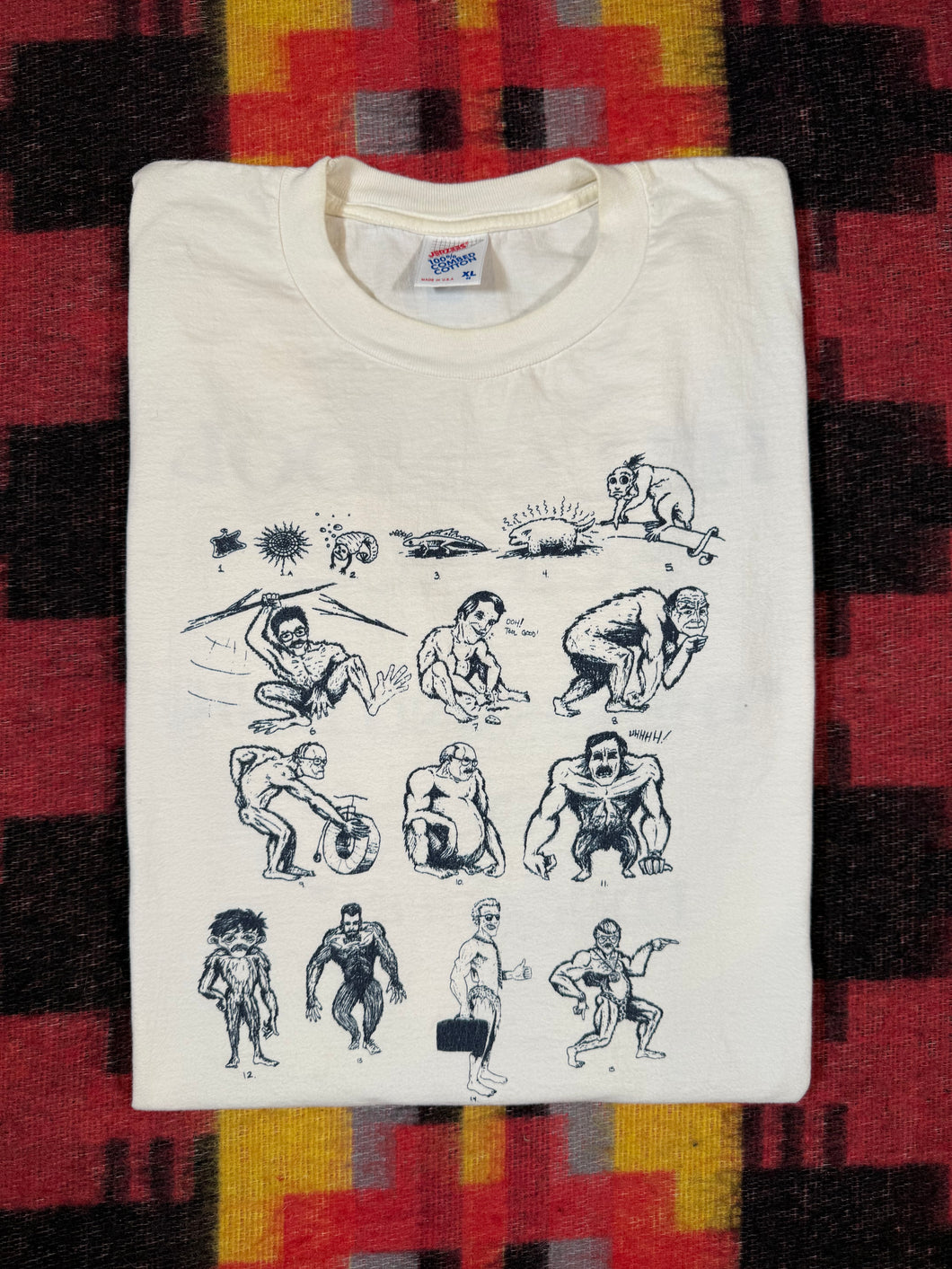 Vintage The Missing Link In Education Evolution Tee (L)