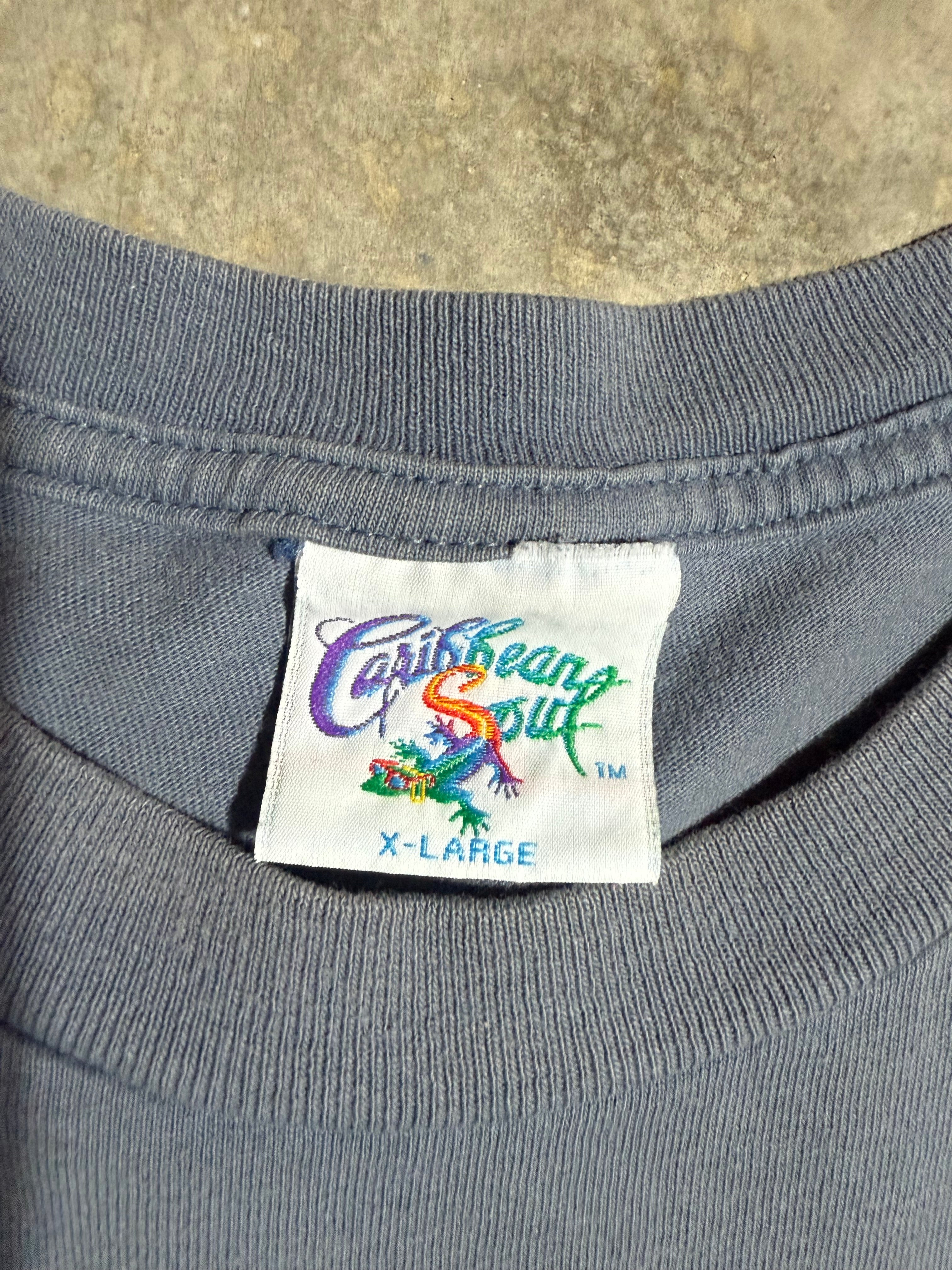 Vintage Wastin Away Again Parrot Margaritaville Tee (XL)